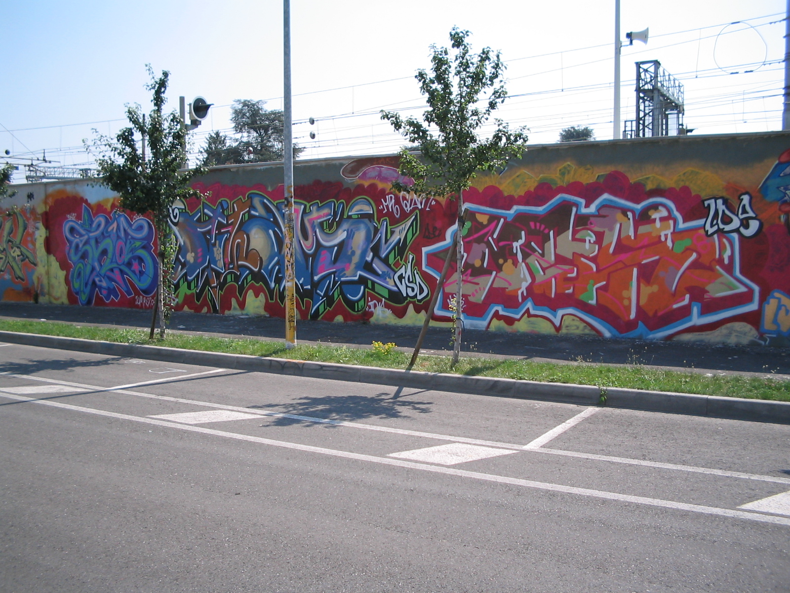 NES  ERBA 2005